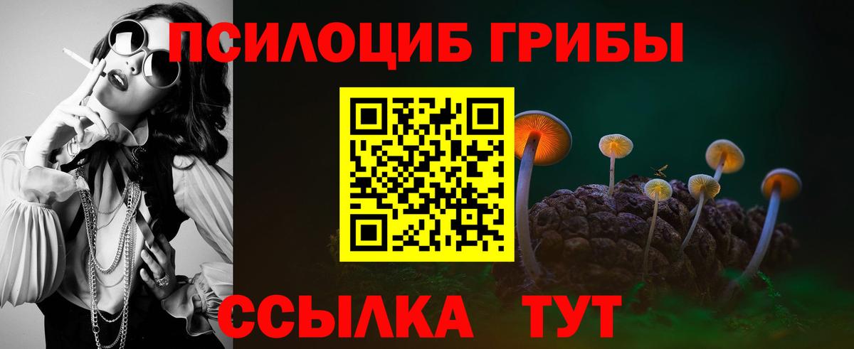 где найти наркотики  Псилоцибиновые грибы Cubensis  Вход с VPN  Псилоцибиновые грибы Magic Shrooms  Котлас 